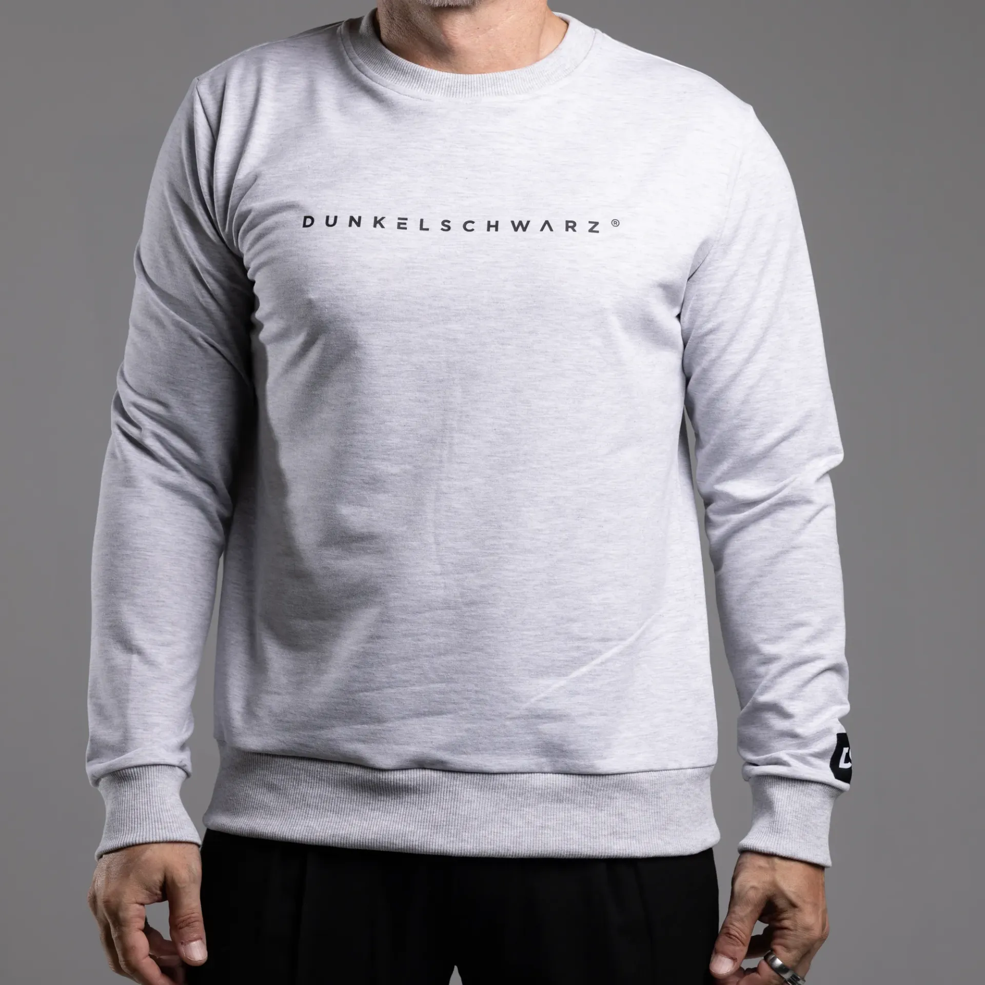 Sweatshirt DS-5 LOGO lightgrey/m. (S)