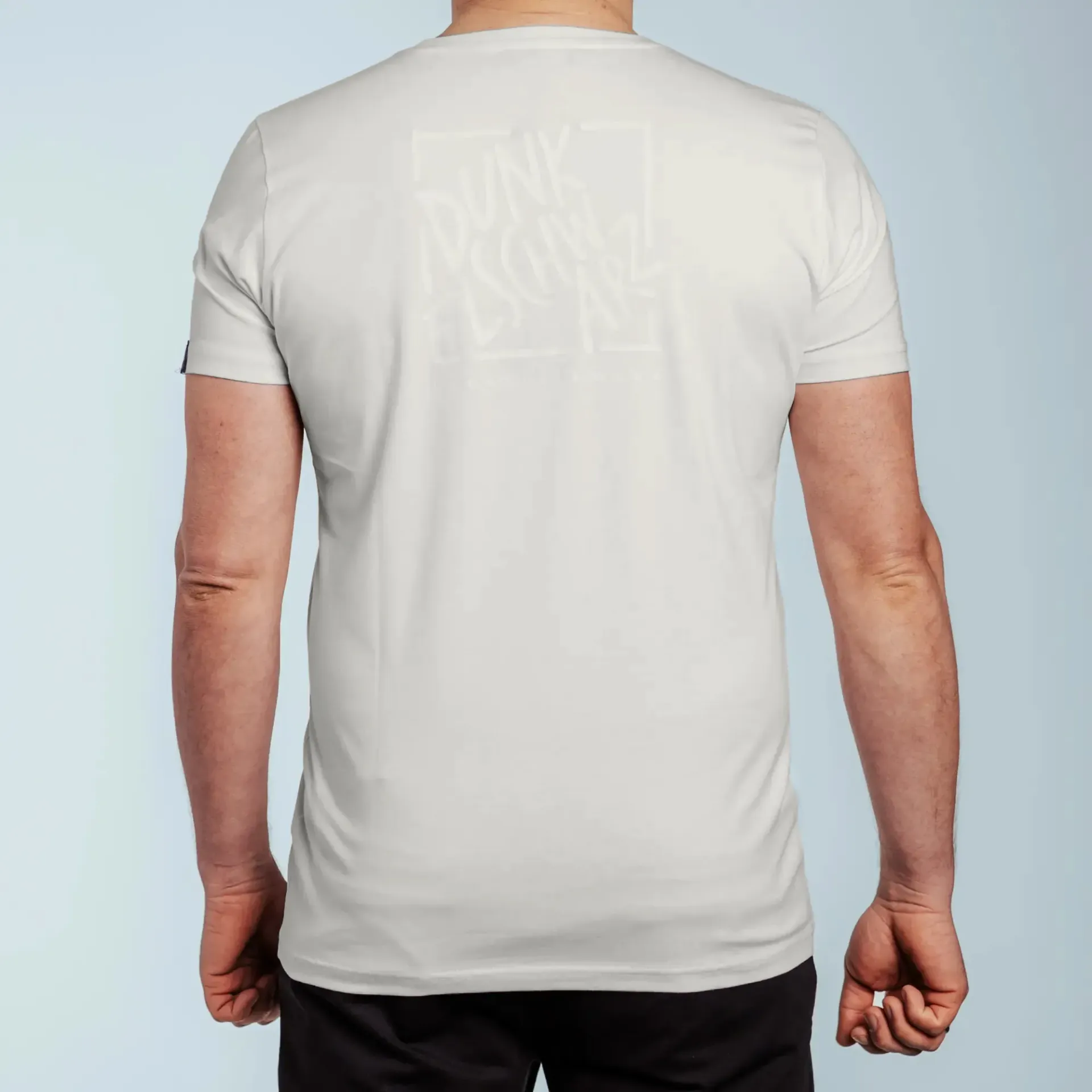 T-Shirt DS-1 FRAMEBACK sand/SAND
